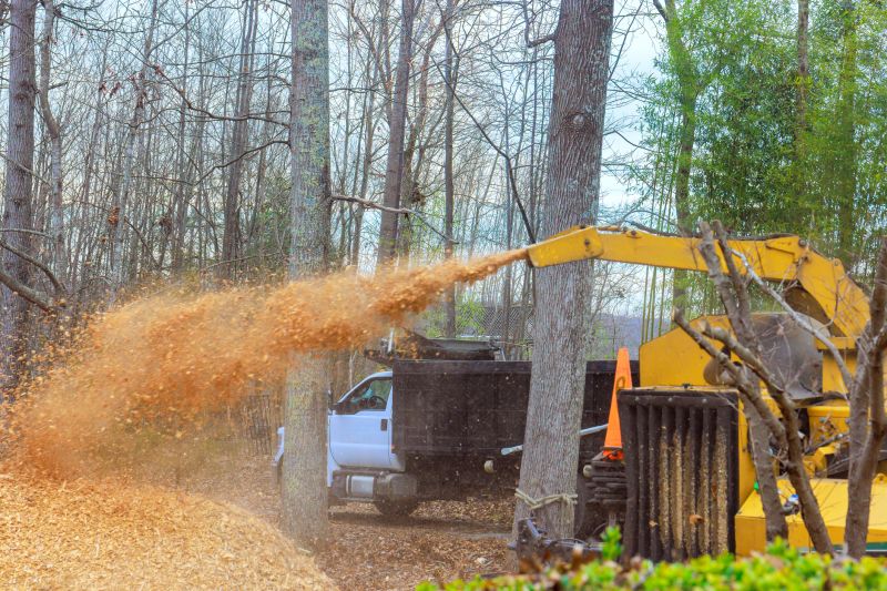 Wood Chip Mulching