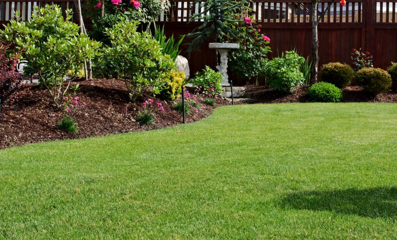 How Professional Landscaping Improves Curb Appeal