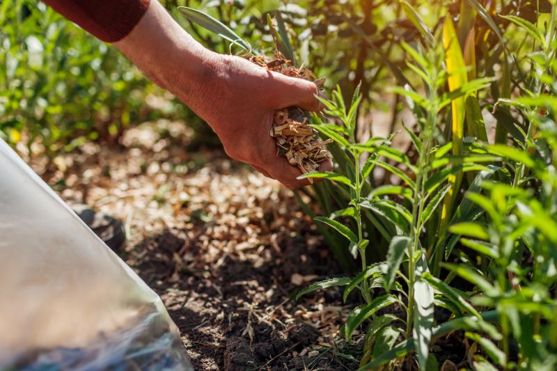 Garden Maintenance Services