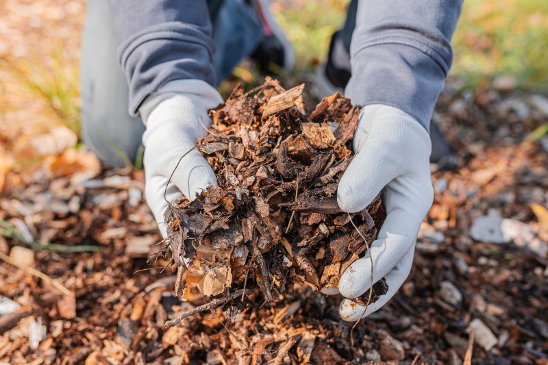 Wood Chip Mulching
