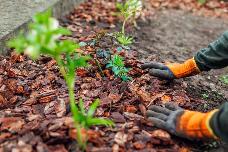 Garden Bed Mulching